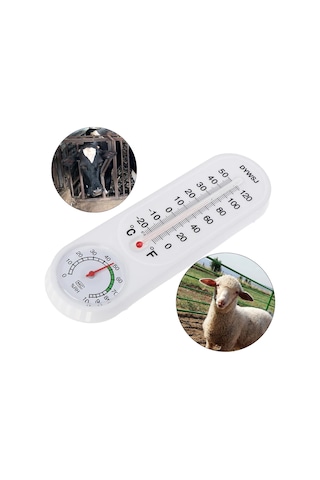 Ayt Powermaster Pm-24665 Sıcaklık Nem Ölçer Analog Termometre -20 +50 Derece Arası Ölçüm Ev Duvar Tipi