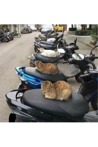 Xmax Forza Model Maxi Scooter Universal Uyumlu Motosiklet Siyah Sele Kılıfı Motor Koltuk Brandası