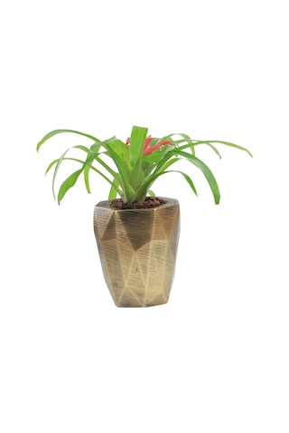 Saksı Çiçek Kaktüs Saksısı Lüx 15 Cm Poly Desen Saksı Çiçeklik - Altın Eskitme