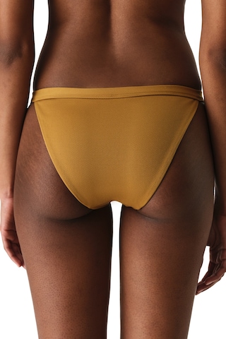 Penti Yeşil Montana Side Bikini Altı