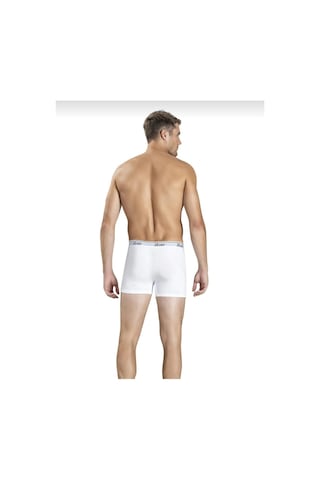 Jiber 156 Erkek Boxer Likralı Şort Tekli 001