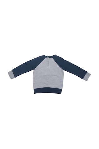 Fenerium Fenerbahçe Fb Logo Sarı-lacivert Bebek Sweat Gri - Lacivert