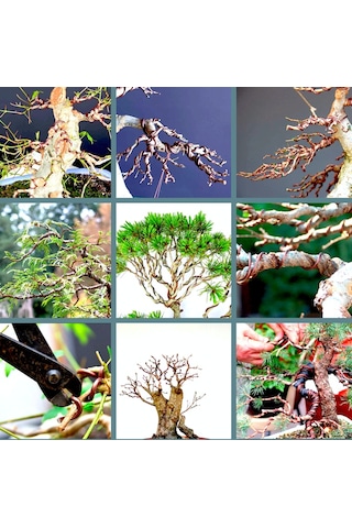 Omeniv 1.50 Mm Çap 5 Metre Bonsai Gövde Dal Şekillendirme Teli