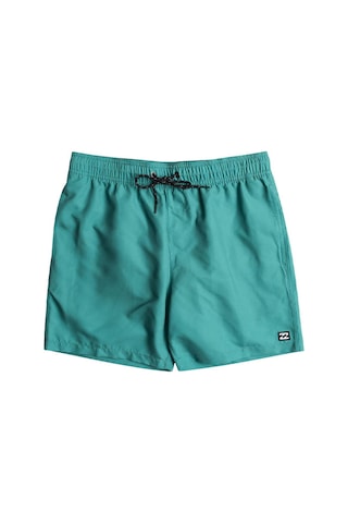 Billabong All Day Lb Erkek Şort Ebyjv00134-2305 Yeşil-yeşil