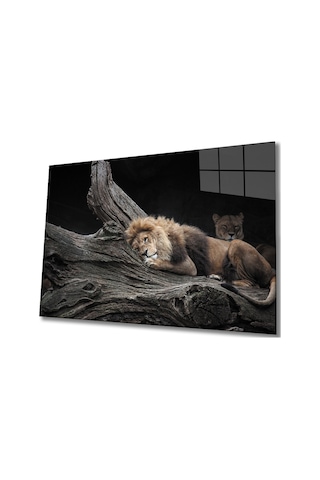 Aslan Cam Tablo