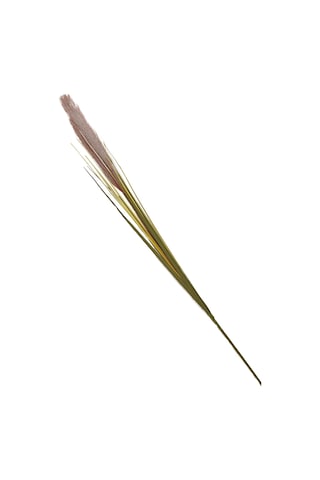 Pasabahce Grass 92 Cm Kahverengi - 1 Adet Kahve