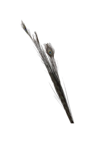 Pasabahce Peacock 136 Cm - 1 Adet Cok Renkli