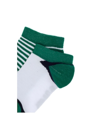 U.s. Polo Assn. Erkek Çocuk Yeşil Çorap Patik 50311344-vr054 Yesıl