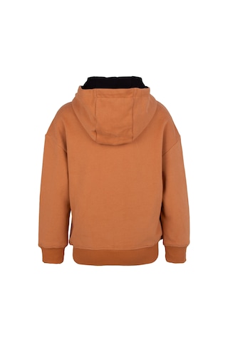 Brz Kids Unisex Çocuk Basic Hoodie Kahverengi