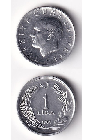 1 Lira 1981 Çil Eski Madeni Para