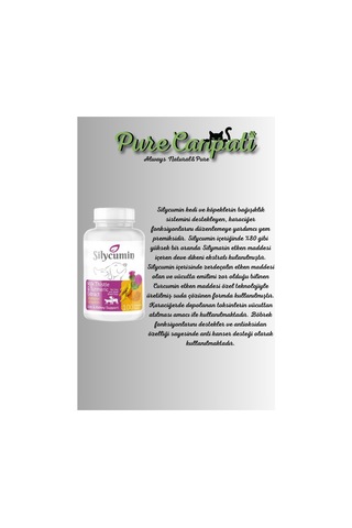 Purecanpati Kedi Vitamin Destek Seti
