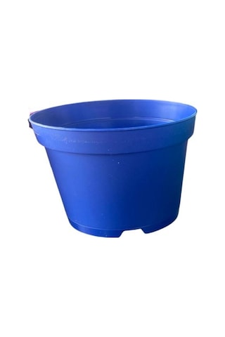 Avantajlı Katı Plastik Sukulent Saksısı 20 Adet Mavi 8.5 Cm