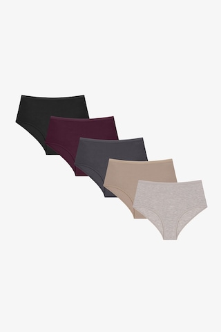Penti Dark Mauve Yüksek Bel 5li Slip Külot Çok Renkli