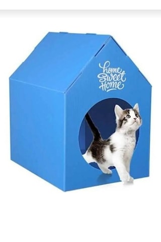 Kedi Evi Kulübesi Yuvası