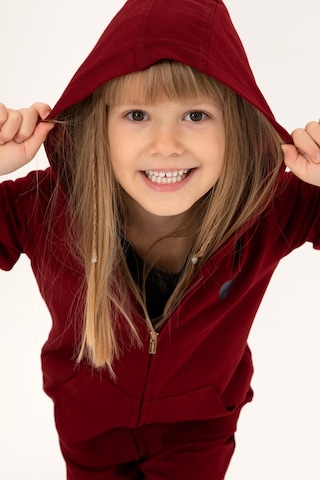 U.S. Polo Assn. Kız Çocuk Bordo Fermuarlı Basic Sweatshirt 50296390-VR014