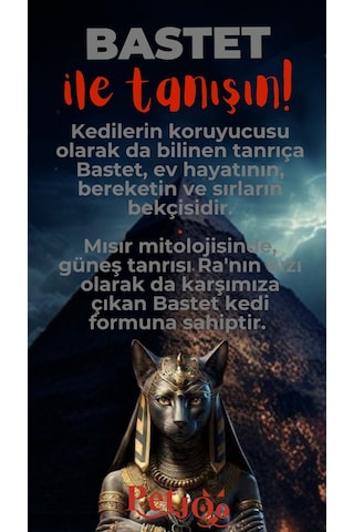 Petjoo 1.Bastet Kırmızı-Gri Qr'lı Kedi Künyesi