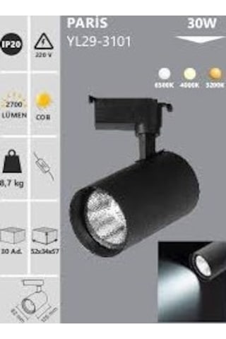 Noas 30 Watt Siyah Kasa Günışığı Ray Spot