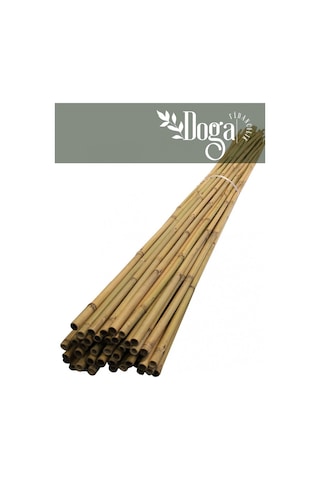 50 Adet Bambu Bitki Fidan Destek Çubuğu 190 - 200 Cm