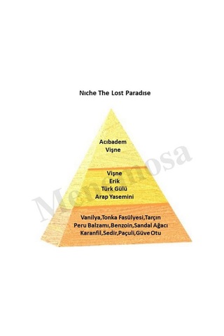 Bargello Niche Red The Lost Paradıse Unisex Extrait De Perfume 100 Ml Baharat