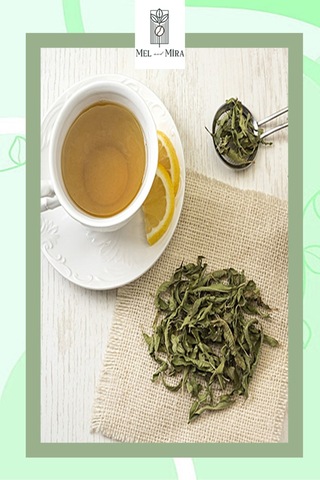 Premium Melisa Çayı 25g, Oğul Otu, Nane Balsamı, Acem Otu, Limon Otu, Melissa Officinalis