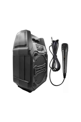 10w Güçlü Ses Performanslı Bluetooth Karaoke Hoparlörü Tech