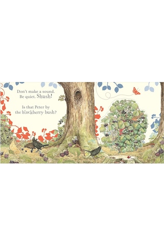 Where İs Peter Rabbit : Lift The Flap Book