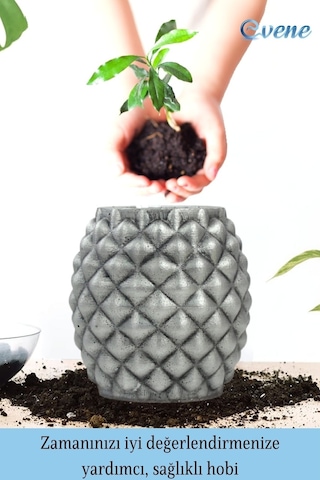 Ahşap Ayaklı Beton Saksı Büyük Boy 1 Adet Ananas Model - Gümüş Eskitme