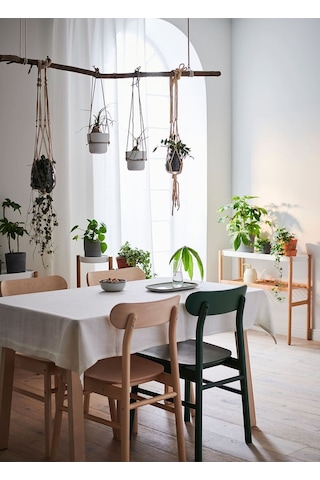 Rönnınge Ahşap Sandalye, Huş Naturel Renk 1 Adet