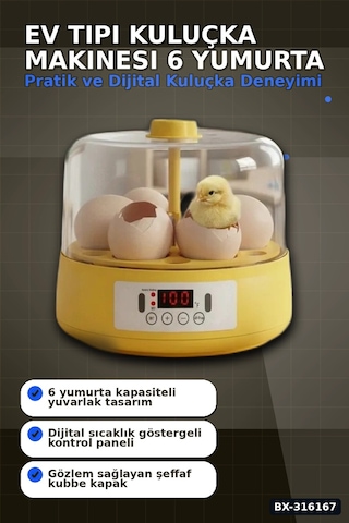 Kuluçka Makinesi 6 Yumurta Kapasiteli Otomatik Döndürmeli Ev Tipi Mini Bx-316167