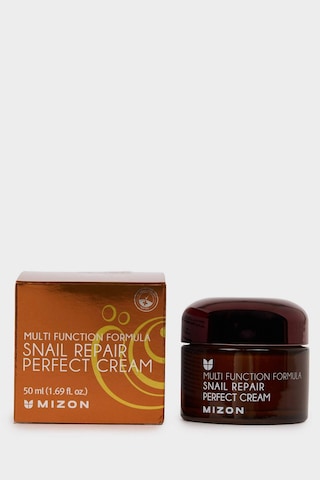 Defacto Mizon Snail Repair Perfect Cream Salyangoz Özlü Nemlendirici Yüz Kremi 50 ml H3448AXNS