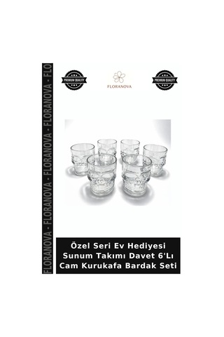Özel Seri Ev Hediyesi Sunum Takımı Davet 6'lı Cam Kurukafa Bardak Seti Şeffaf