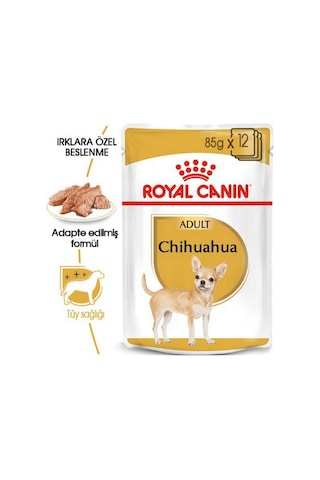 Royal Canin Adult Chihuahua Irkı Yetişkin Köpek Maması 6 x 85 G