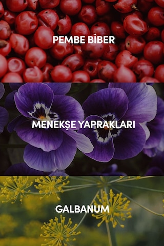 Austin Edp Erkek Seyahat Boy Parfüm 10ml Odunsu-baharatlı-amber Erik, Sedir, Paçuli, Misk