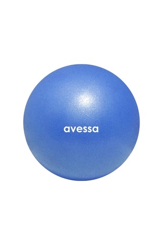 Delux Serisi Aktivite Aktif Kondisyon Xpt-30-blue Plates Topu Mavi 30 Cm 180 Gr