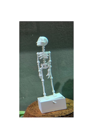 14 Cm Dans Eden İskelet Akvaryum