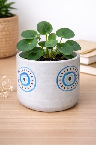El Yapımı Seramiktasarım Saksı - 8x8 Cm Bitkisiz Cogo Ceramic 0 - 1 Kg