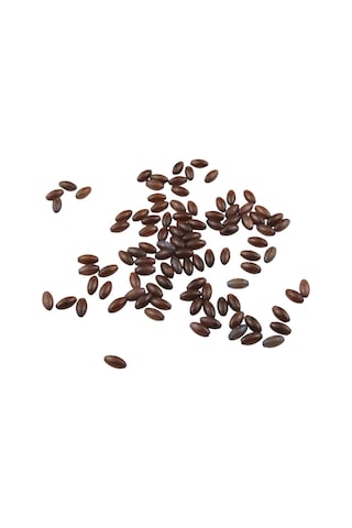 Oval Koyu Kahverengi İçten Delikli 12x5 Mm Delikli Boncuk Aksesuar Takı Malzemesi 20 Adet