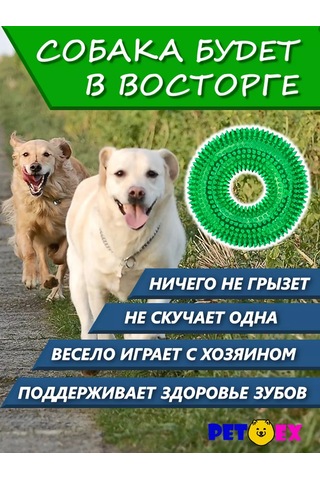 Pet-ex Büyük Köpekler İçin Cırtlak Ve Dikenli 13 Cm Tasmalı Kolye 241053911