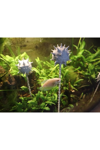 Yüzen Akvaryum Mayını Zincirli Dekoratif Aksesuar