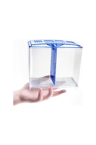 Suntek Masaüstü Ev Yatak Odası Için Küçük Beta Balık