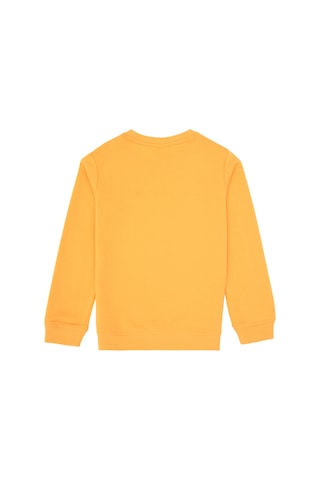 U.S. Polo Assn. Erkek Çocuk Mango Bisiklet Yaka Sweatshirt 50313900-VR244