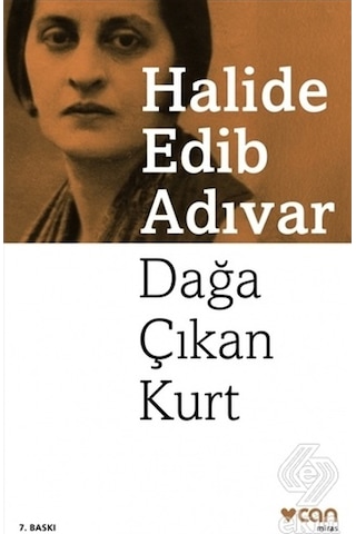Dağa Çıkan Kurt/halide Edib Adıvar