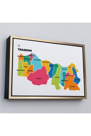 Çerçeveli Trabzon İli Ve İlçeler Haritası Dekoratif Kanvas Tablo-1469