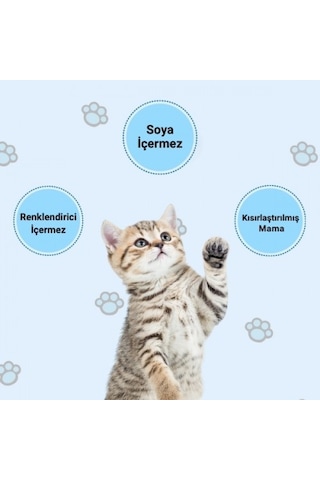Happy Kısırlaştırılmış Somonlu Kuru Kedi Maması 3 KG