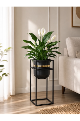 Bitkidunyam Mat Metal Kare Ayaklı Saksı, Altın Detaylı Kenar, Silindirik, Modern Tasarım, 41x21 Cm No:6 Siyah