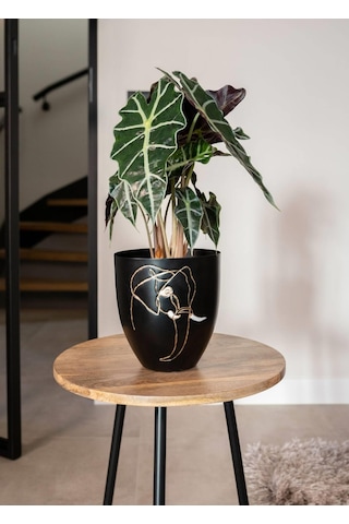 Lea Fil Desenli Siyah Metal Saksı Çap 18cm Yükseklik 19cm