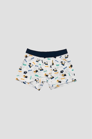 Defne Baby Erkek Çocuk Deseli Premium Pamuklu 2'li Boxer Seti Çok Renkli