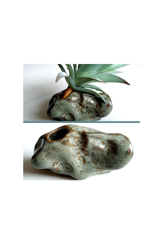 Omeniv Minyatür (Mame) Bonsai Kaktüs Sukulent Amorf Saksı