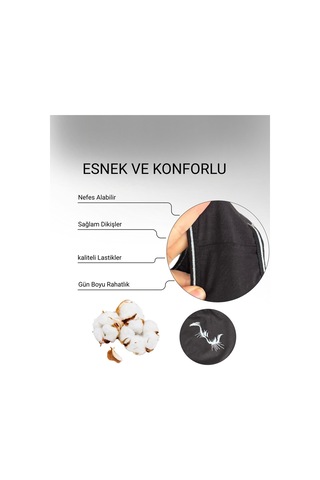 Alya Underwear Kadın Pamuklu Hipster - Slip Külot 5 Farklı Renk 1 Pakette Siyah P13
