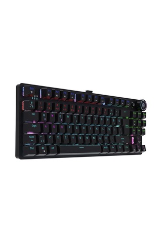 Ryba Kablolu, 2.4g Kablosuz Ve Bluetooth 5.2 Mekanik Gaming Klavye, Türkçe Düzen, Mavi Switch, Siyah, 88 Tuş, Rainbo